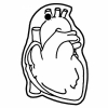 Human Heart Key Tag - Spot Color