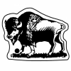 Buffalo w/Detail Key Tag (Spot Color)