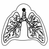 Lungs Key Tag - Spot Color