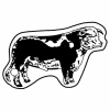 Cattle/Bull w/Detail Key Tag (Spot Color)