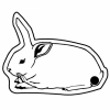 Rabbit Key Tag (Spot Color)