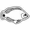 Fish 9 Key Tag (Spot Color)