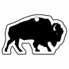 Buffalo 2 Key Tag (Spot Color)