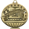 Stock Academic Medals - Student Council