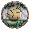 Stock Color Medals - Volleyball