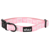 Dog Collar With Neoprene Backing: Extra Small