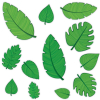 Tropical Leaf Cutouts