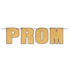 Prom Streamer
