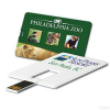 Slim Credit Card USB Flash Drive (4 GB)