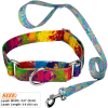 Dye-Sublimation Dog Leash with Adjustable Collar & Carabiner