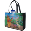 Full Color Extra Wide Shopping Tote Bag With 6