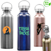 25 oz. Stainless Steel Canteen Water Bottles w/ Handle