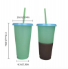 24OZ Thermochromic Plastic Cup with Straw