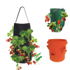 Strawberry Planter Hanging Bags