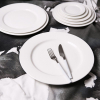 Porcelain Dinner Plates